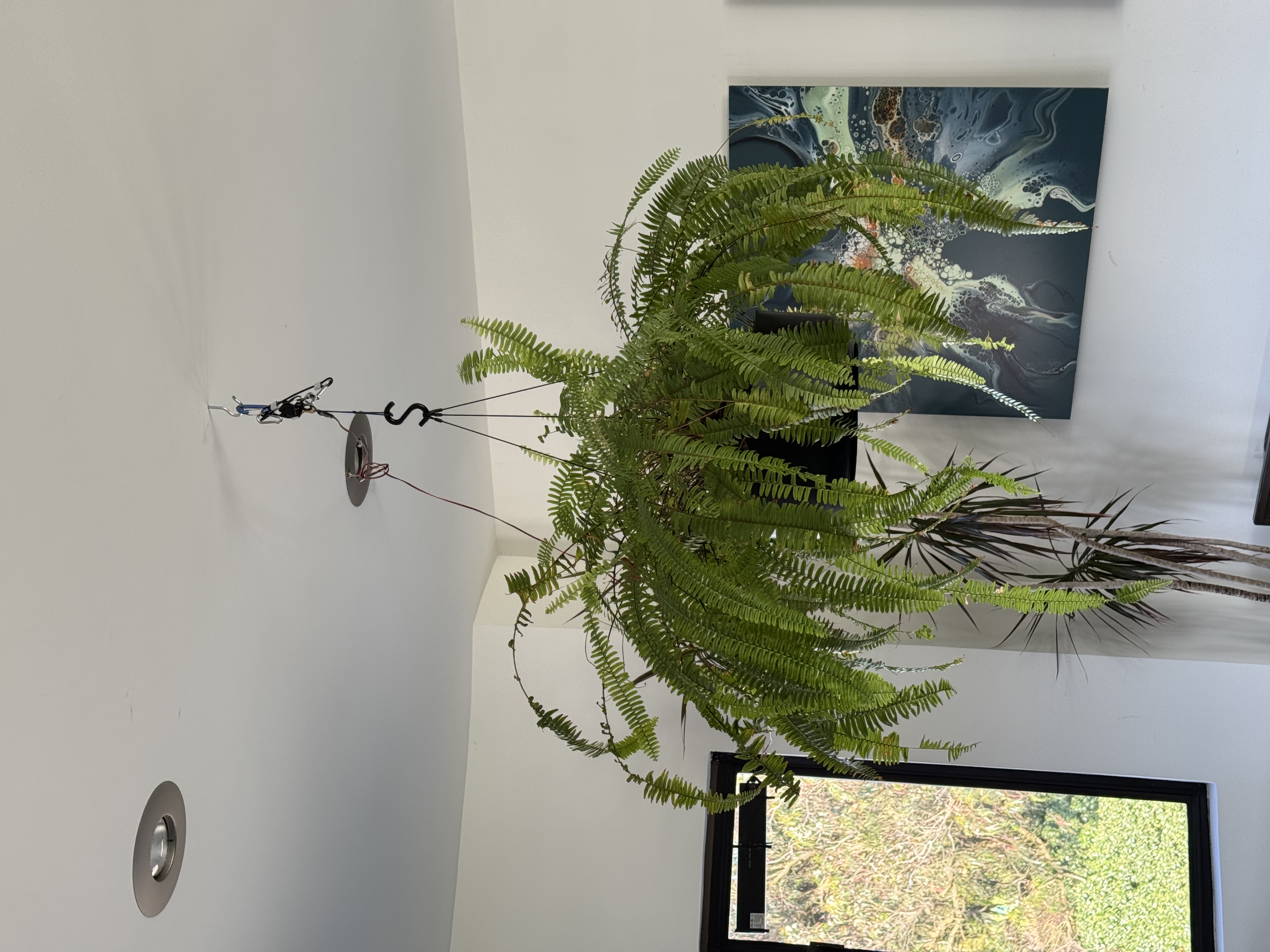 Solar-Powered, Spinning Hanging Planter